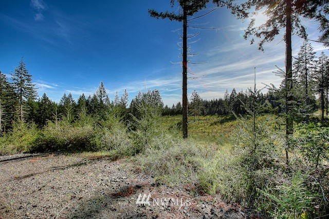 3 Schmitz Road Kalama, WA 98625 - Photo 3 of 15 Gallery Image 3