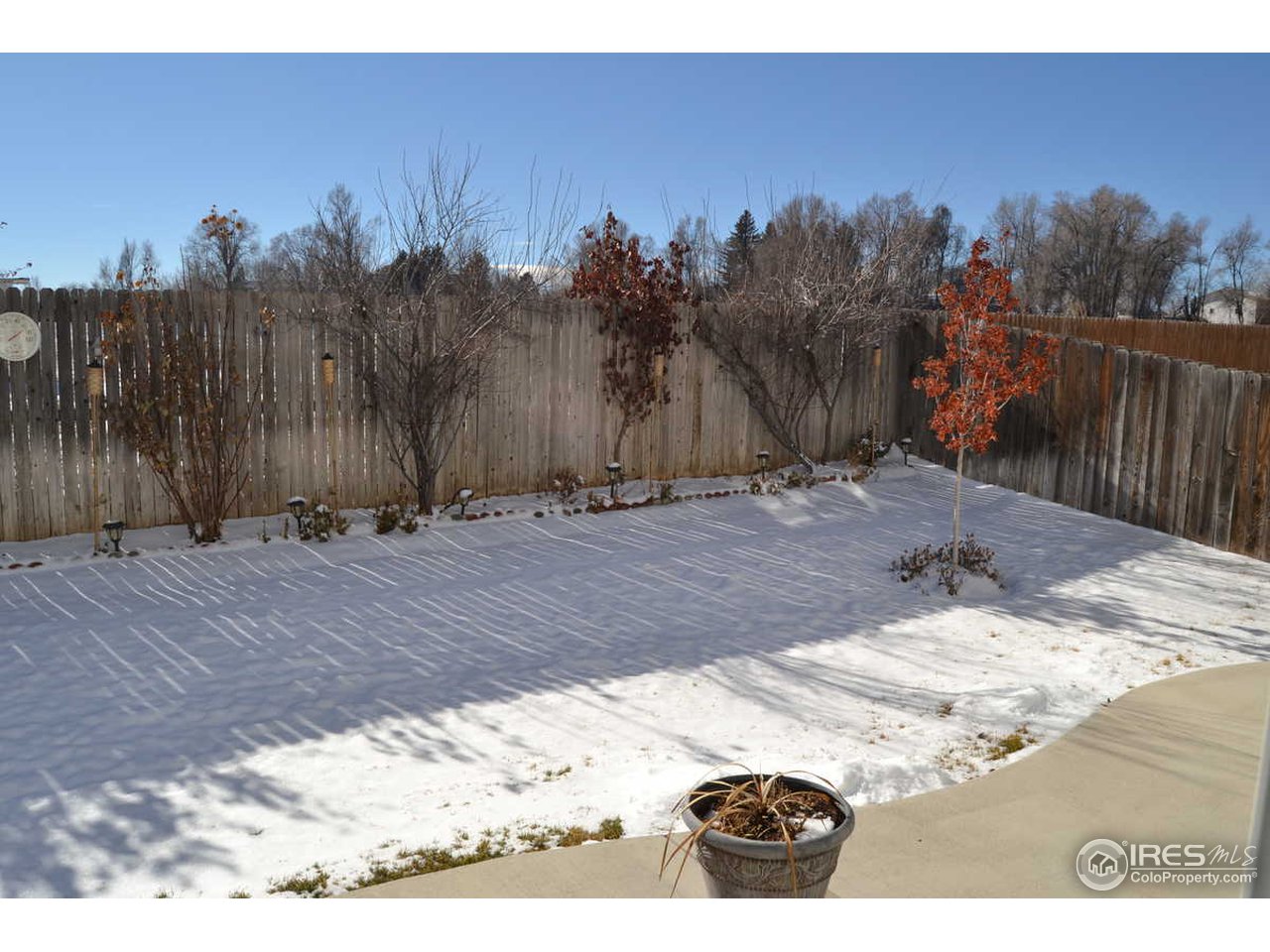 1321 Trail Ridge Road Longmont, CO 80504 - Photo 24 of 25 a view of a backyard of the house