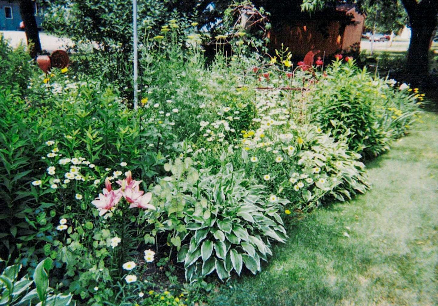 112 Elbert Drive Rice Lake, WI 54868 - Photo 36 of 44