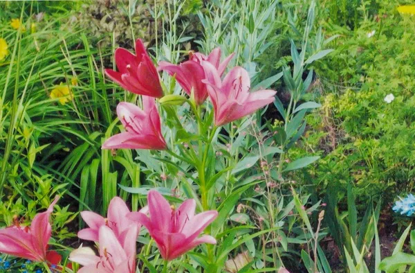 $299,000 | 112 Elbert Drive, Rice Lake, WI 54868