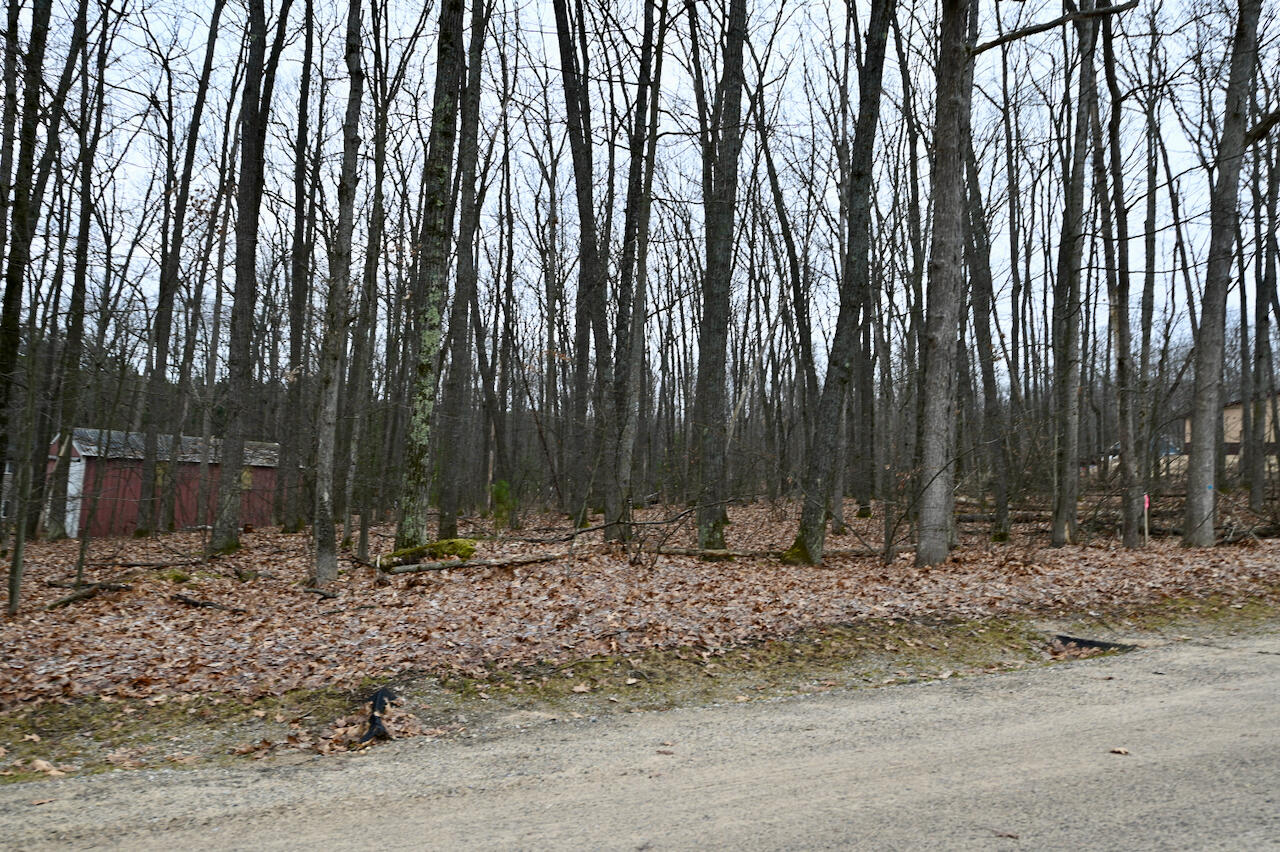 61-62 Summit Road Roscommon, MI 48653 - Photo 4 of 11 Gallery Image 4