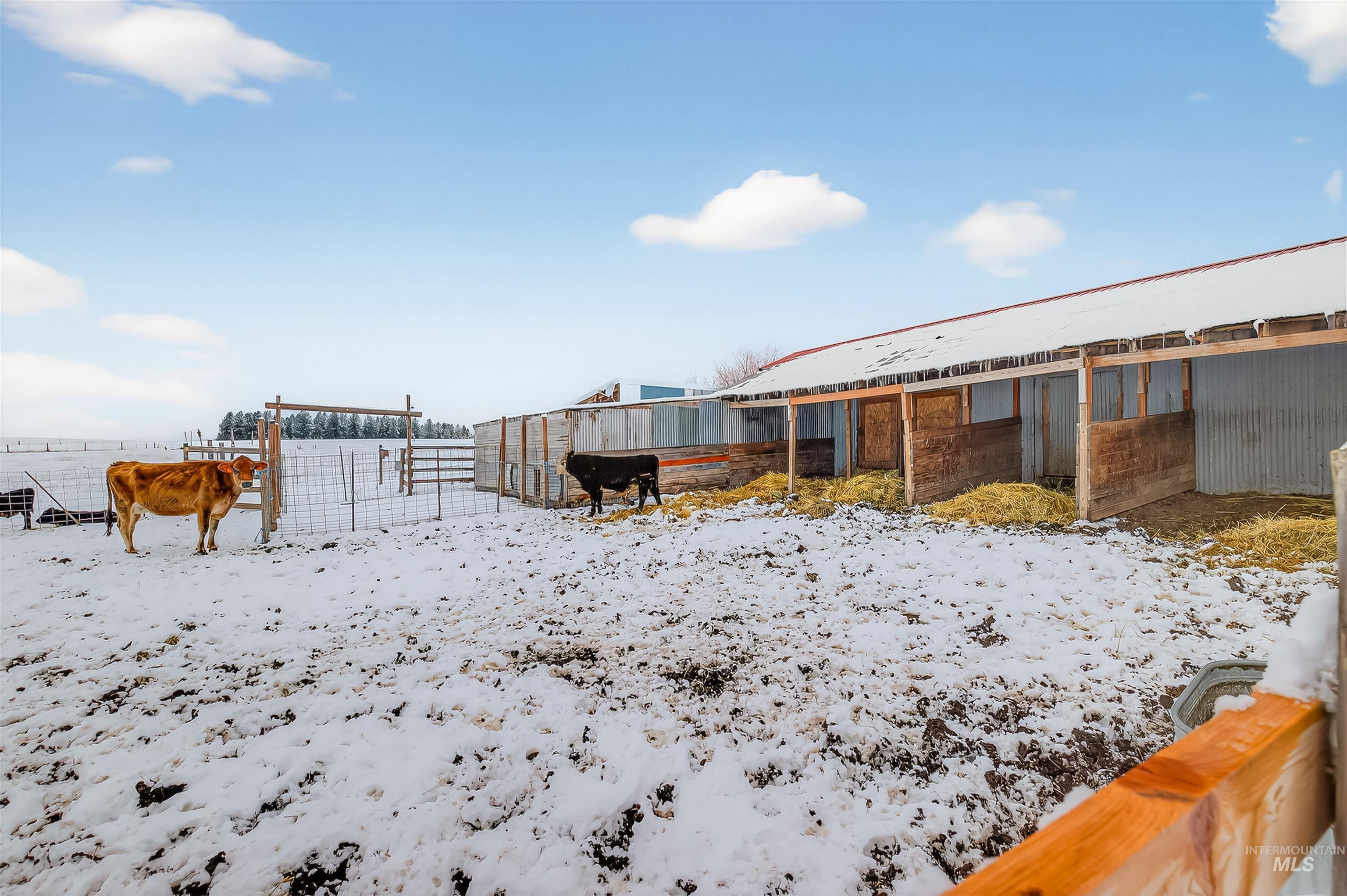 1585 Woodside Road Winchester, ID 83555 - Photo 36 of 47 View of yard