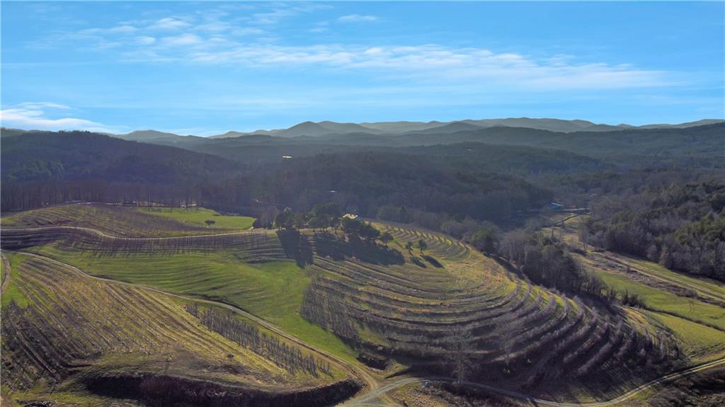 196 Grayson Point Blue Ridge, GA 30513 - Photo 34 of 42 a view of a backyard with mountain