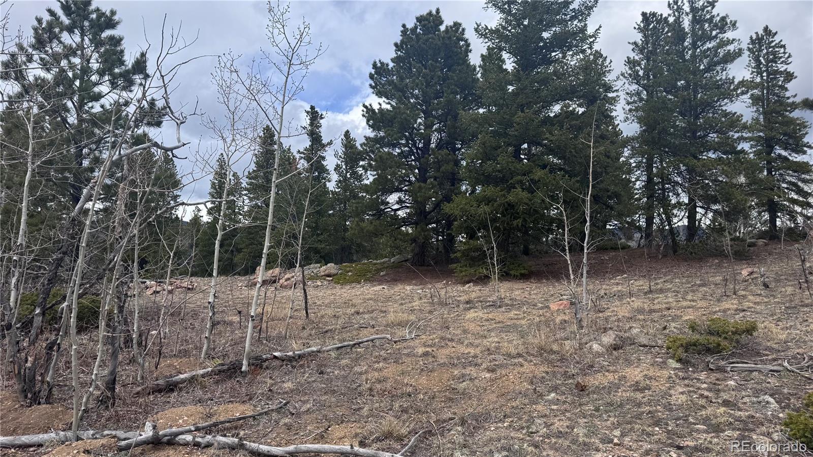 1 Mac Rock Road Central City, CO 80427 - Photo 13 of 20 a view of a forest
