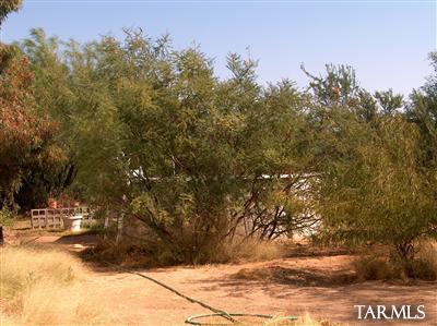 6310 North Chaparral Road Tucson, AZ 85743 - Photo 8 of 8 Gallery Image 8