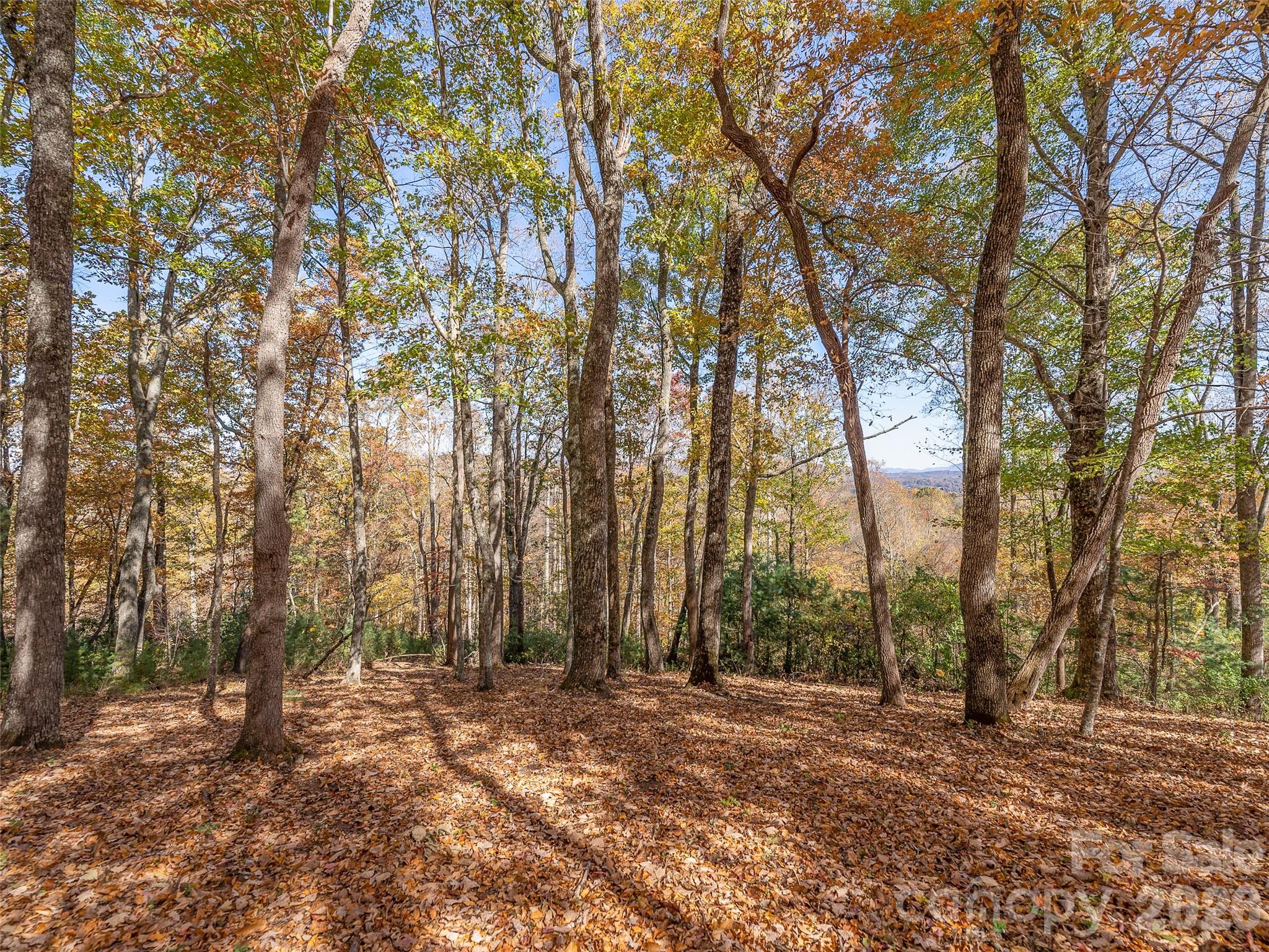 44 Pine Ridge Trail, Unit 83 Arden, NC 28704 - Photo 11 of 26 a view of a forest with trees