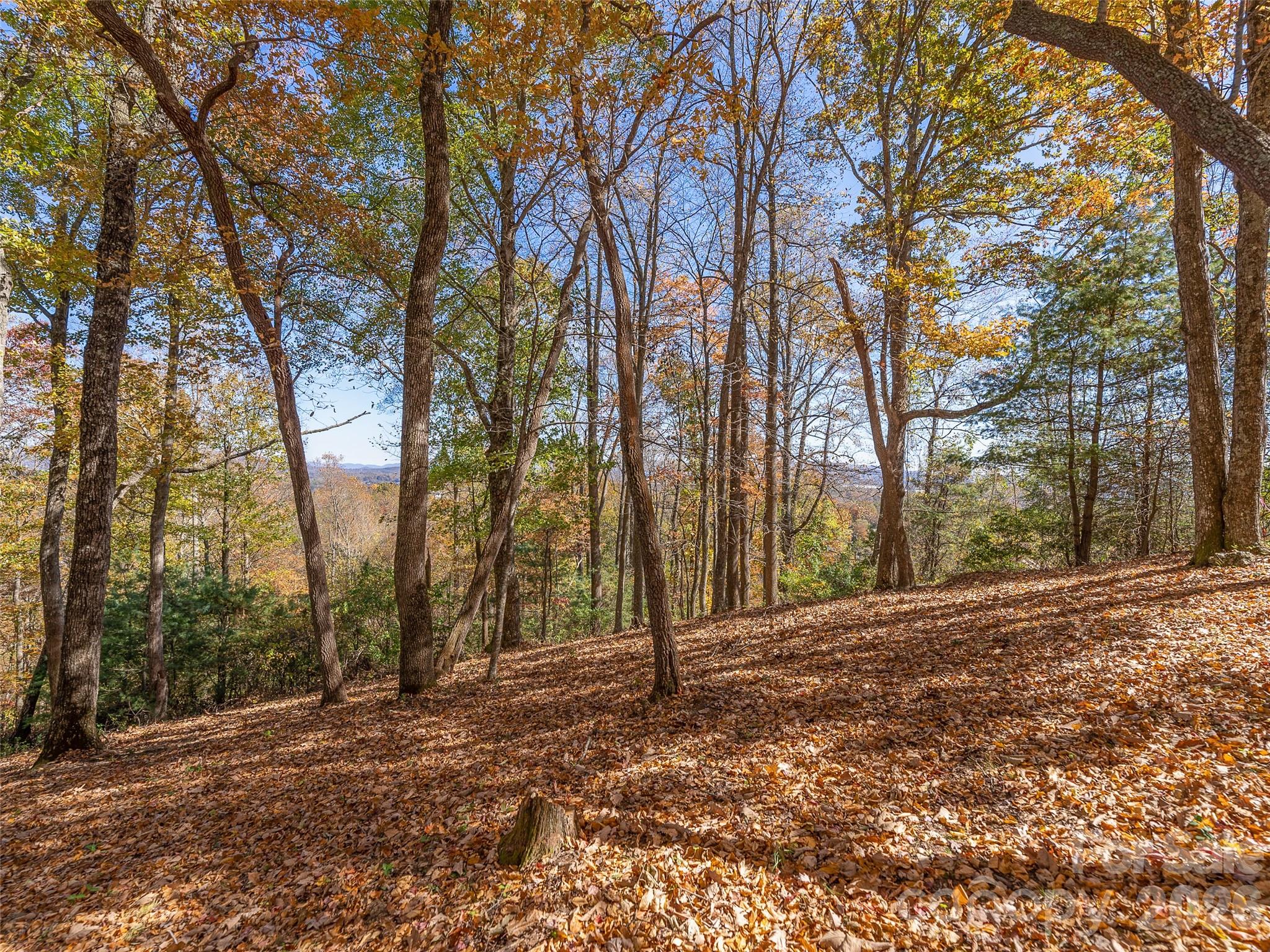 44 Pine Ridge Trail, Unit 83 Arden, NC 28704 - Photo 12 of 26 a backyard of a house with trees