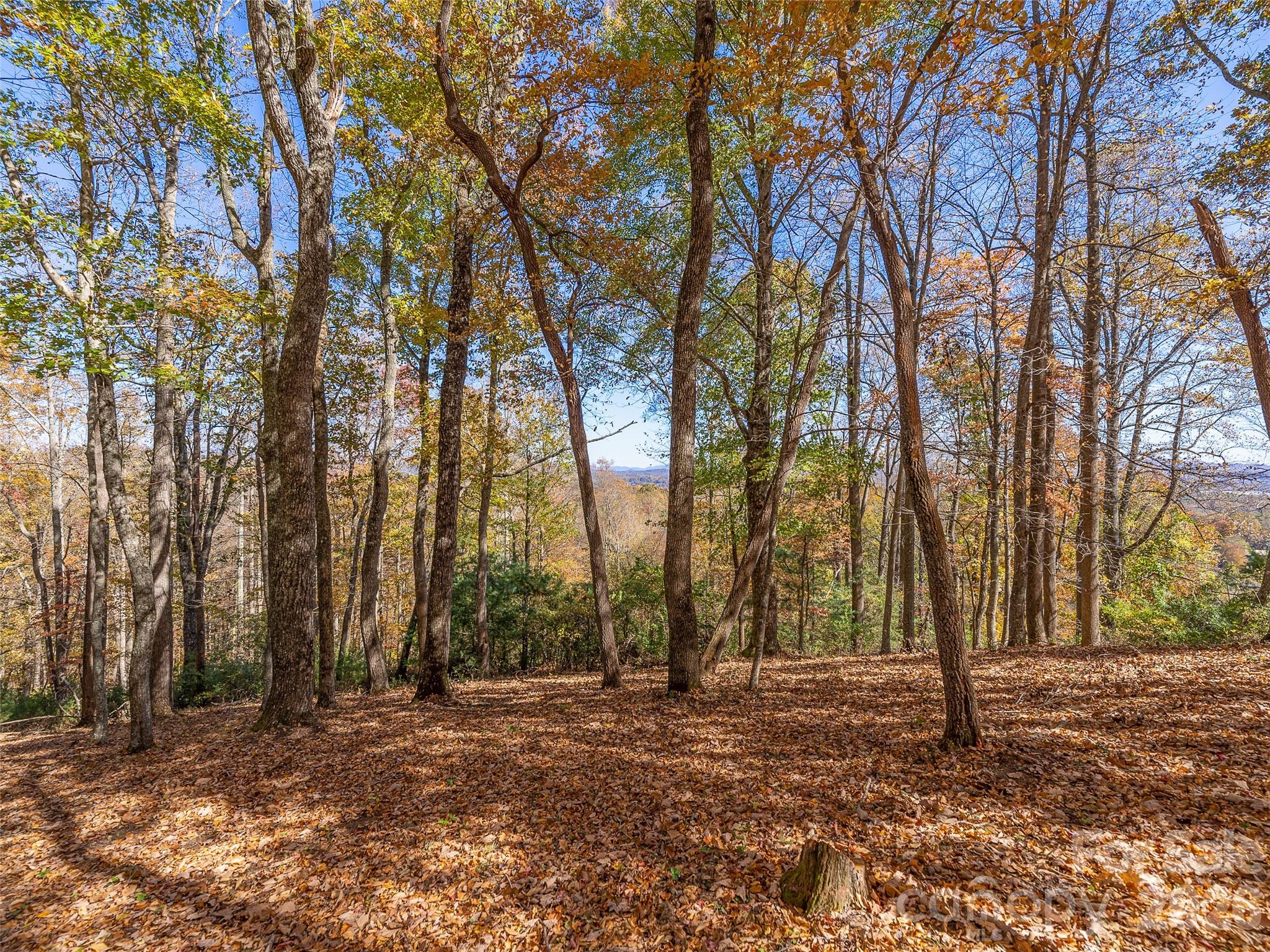 44 Pine Ridge Trail, Unit 83 Arden, NC 28704 - Photo 13 of 26