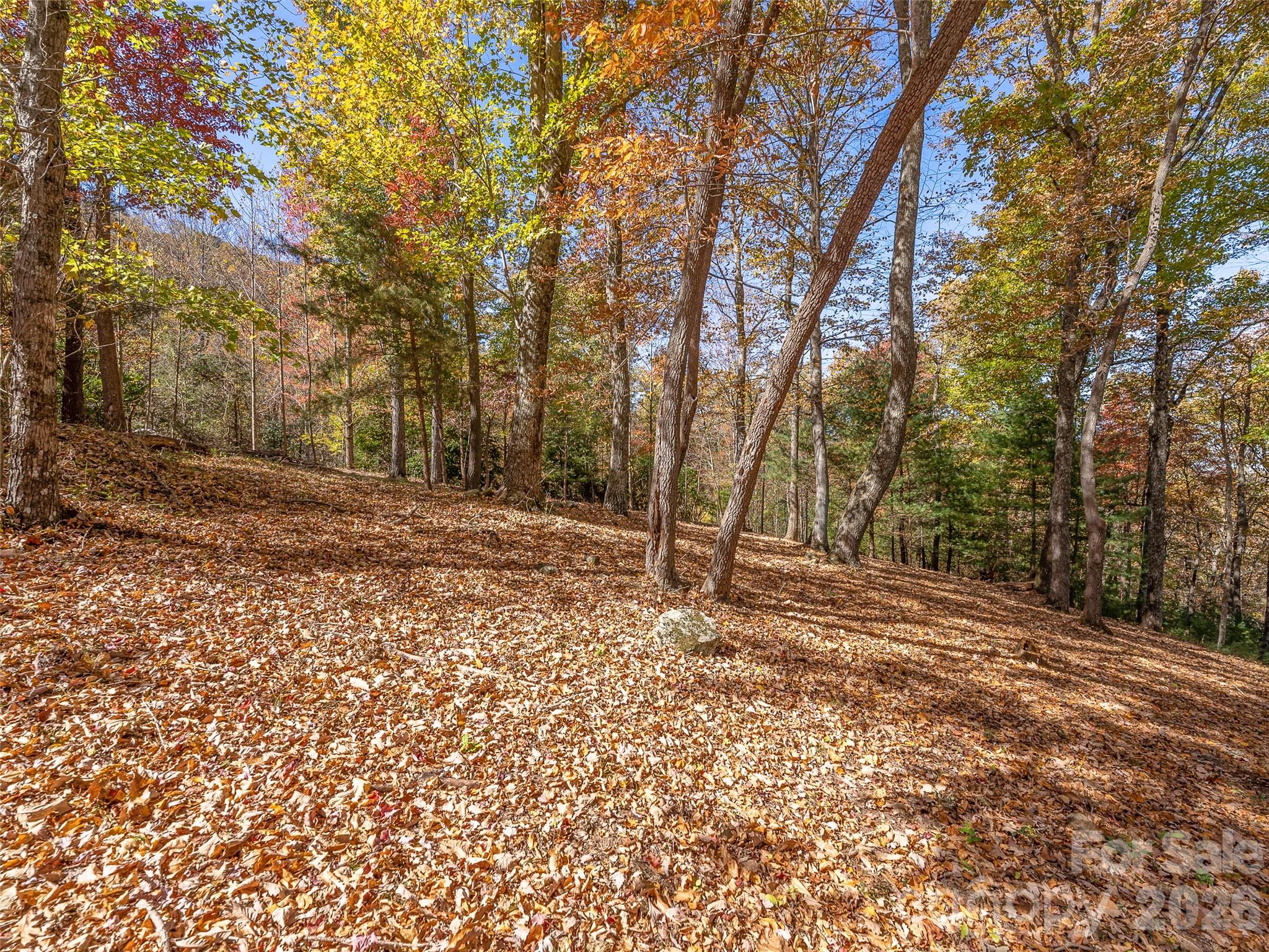 44 Pine Ridge Trail, Unit 83 Arden, NC 28704 - Photo 14 of 26 a backyard of a house with large trees
