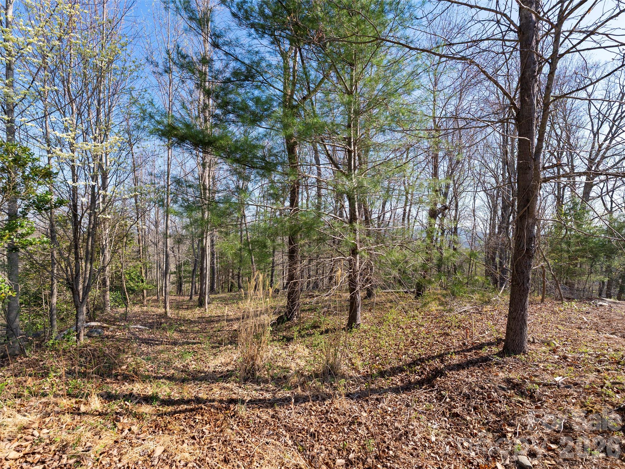 44 Pine Ridge Trail, Unit 83 Arden, NC 28704 - Photo 15 of 26 a backyard of a house with lots of green space