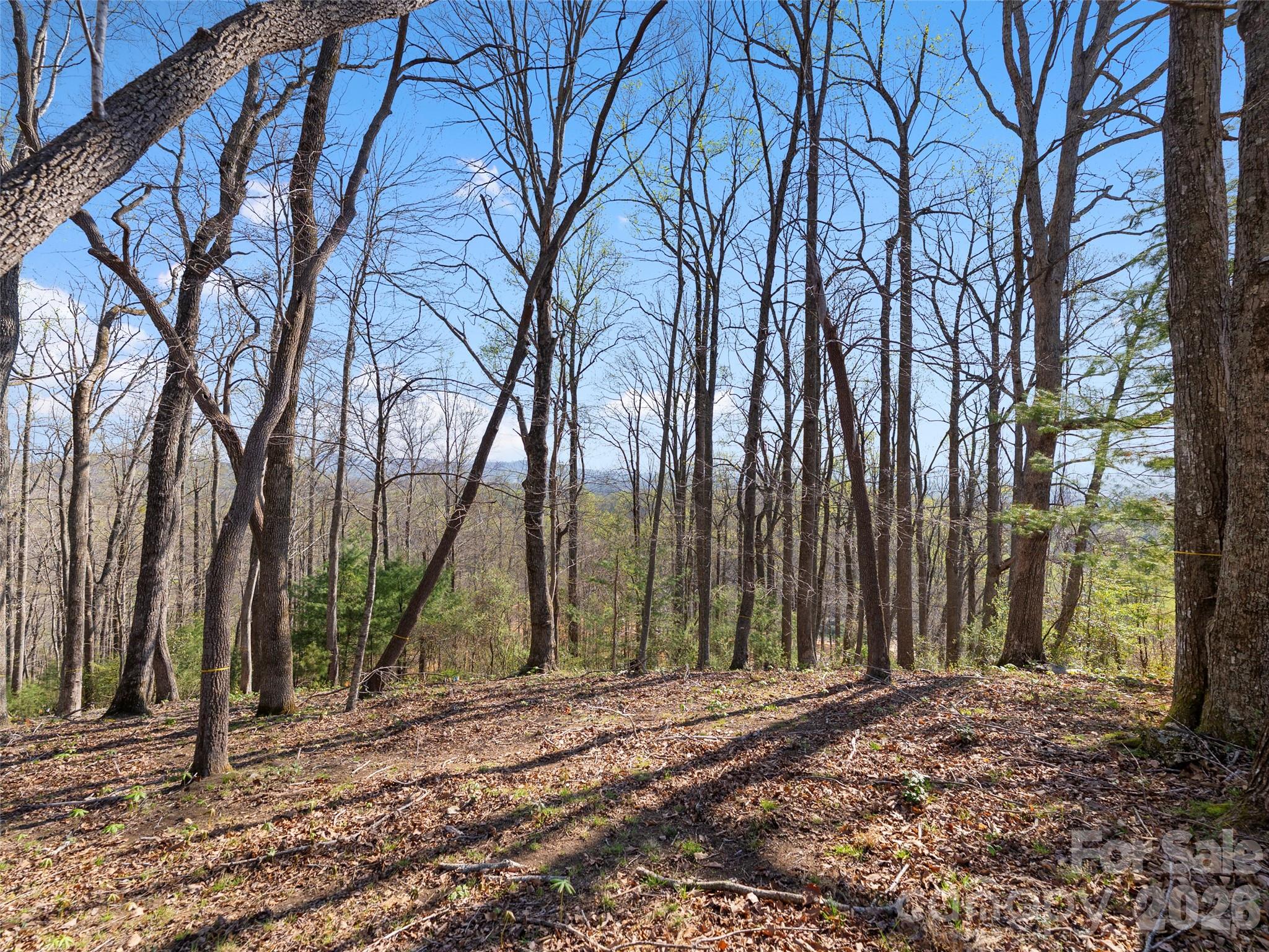 44 Pine Ridge Trail, Unit 83 Arden, NC 28704 - Photo 16 of 26 a view of outdoor space with street view