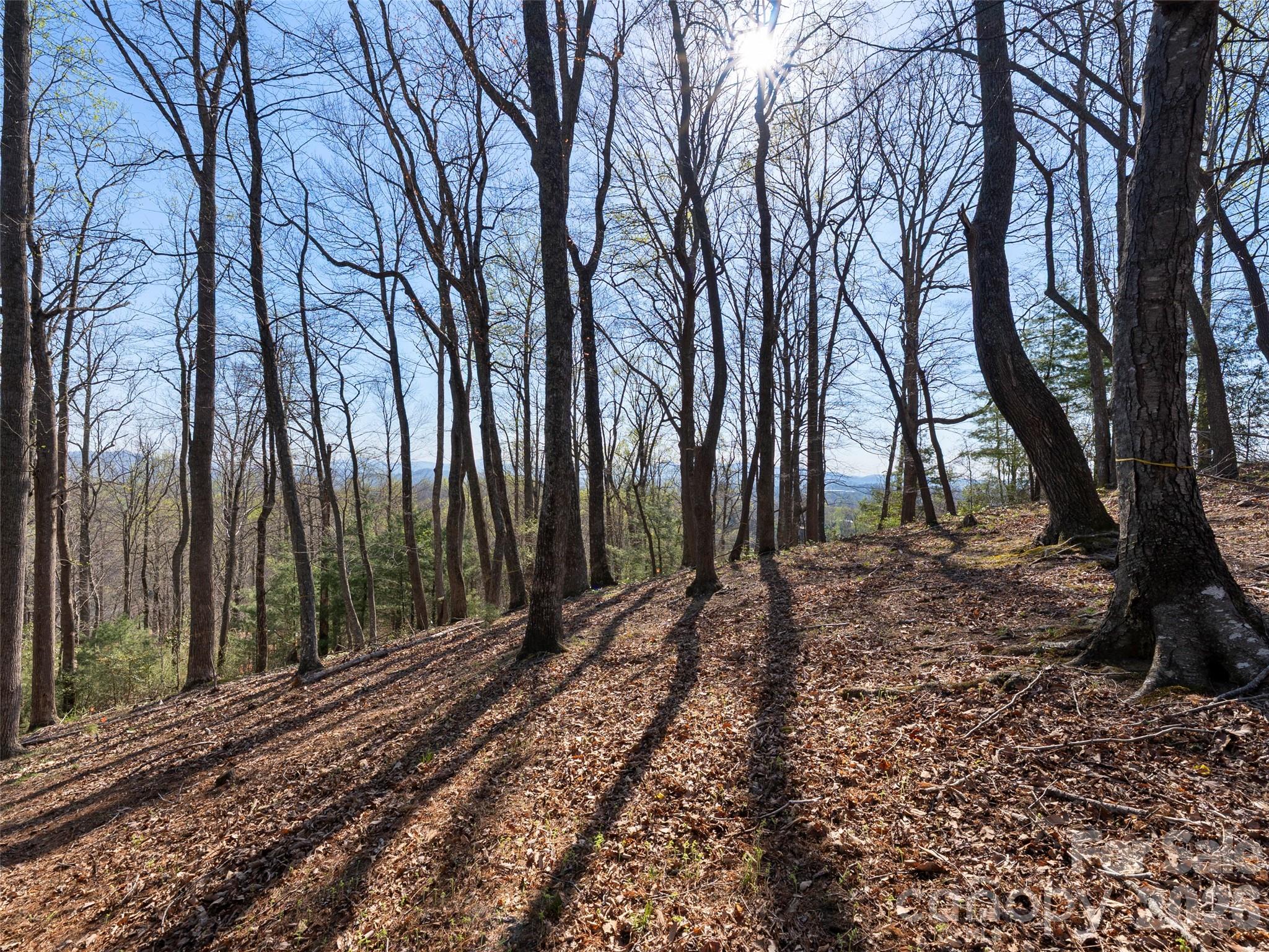 44 Pine Ridge Trail, Unit 83 Arden, NC 28704 - Photo 17 of 26 a view of a backyard with large trees