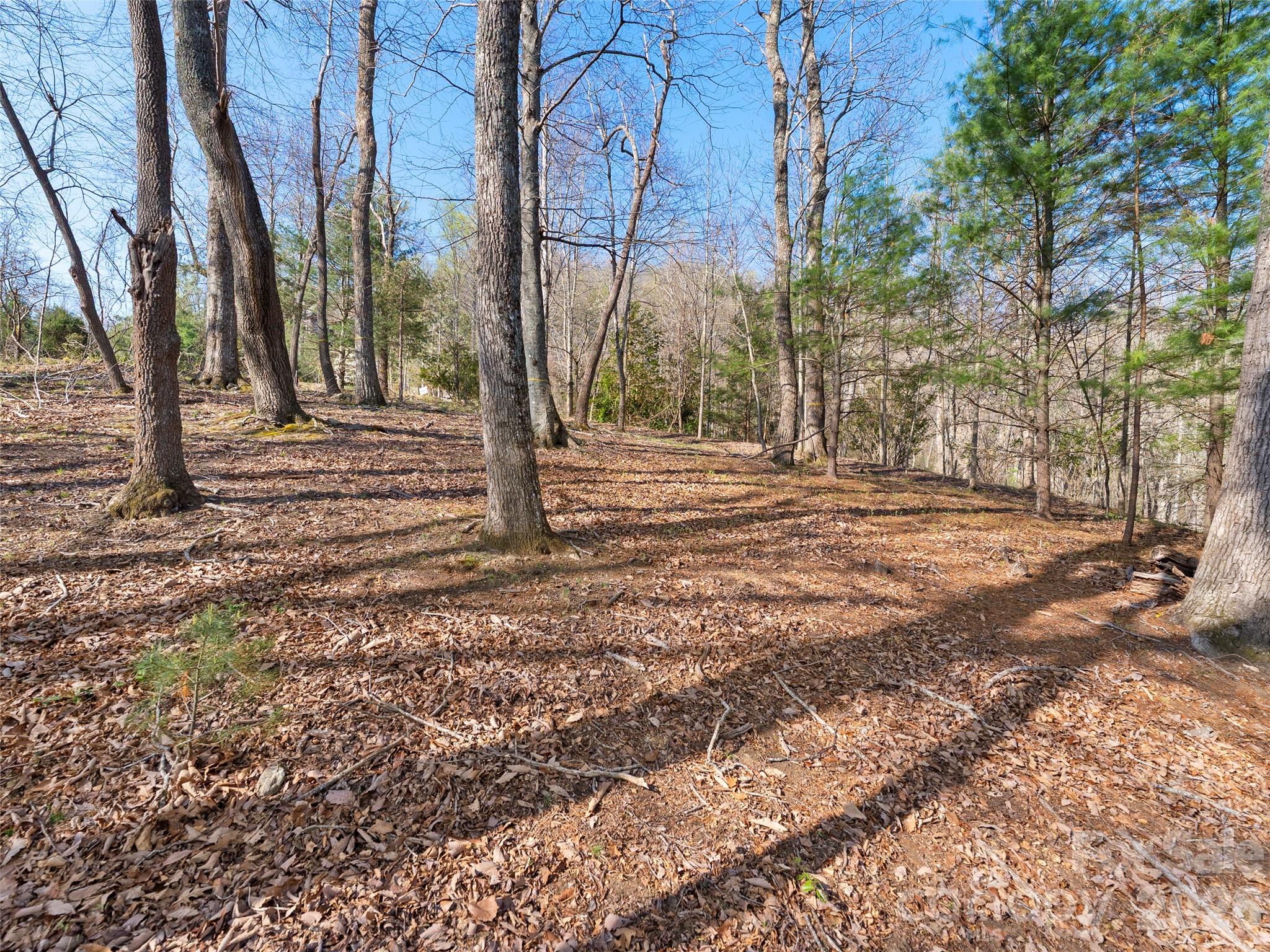 44 Pine Ridge Trail, Unit 83 Arden, NC 28704 - Photo 18 of 26 a view of a yard with trees