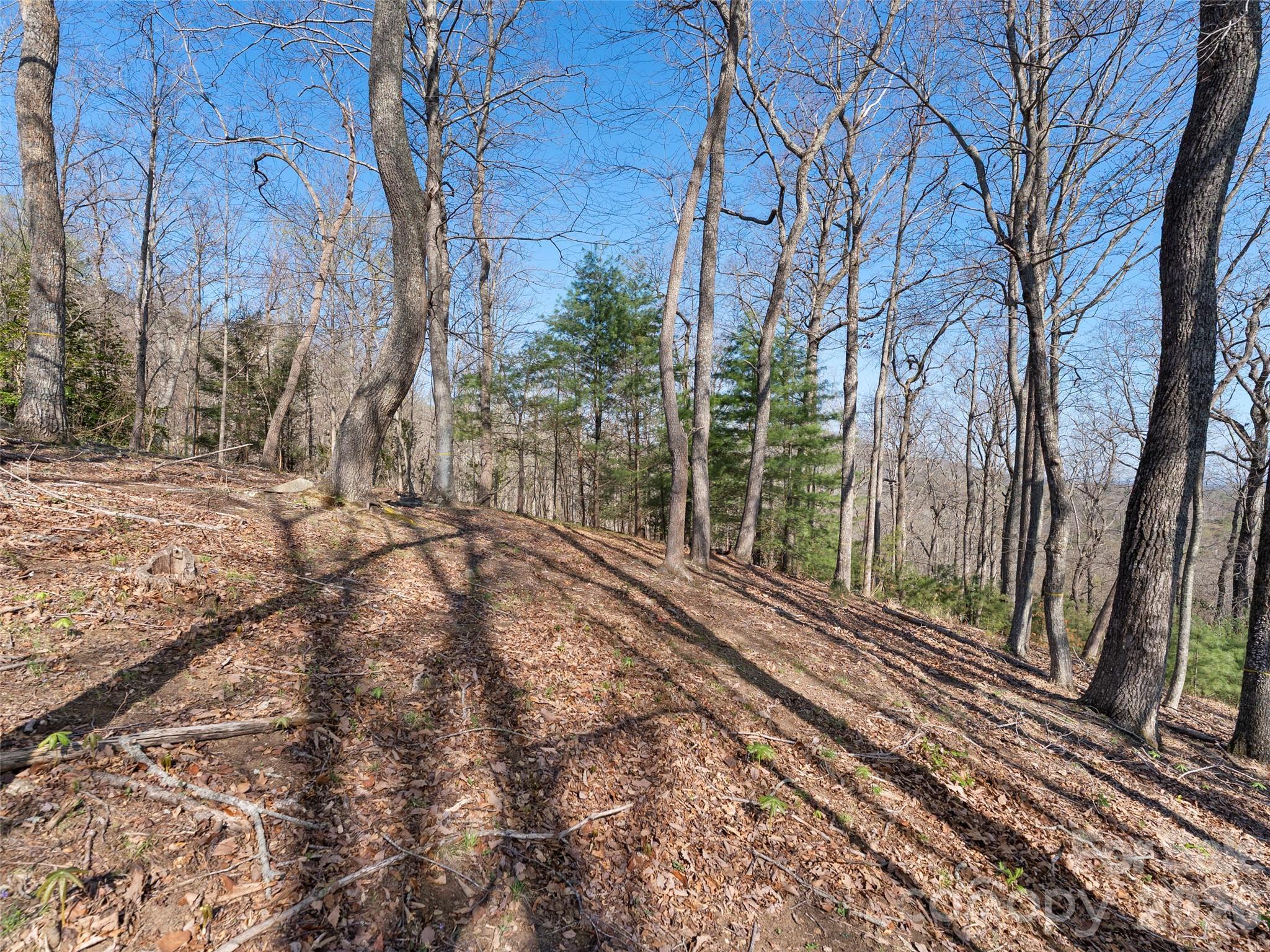 44 Pine Ridge Trail, Unit 83 Arden, NC 28704 - Photo 19 of 26 a view of a yard with wooden fence and large trees