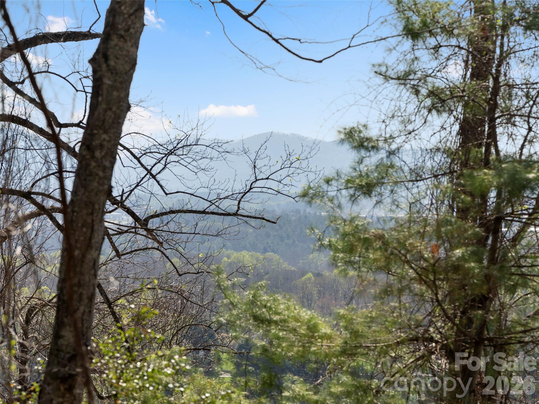 44 Pine Ridge Trail, Unit 83 Arden, NC 28704 - Photo 2 of 26 a view of a yard