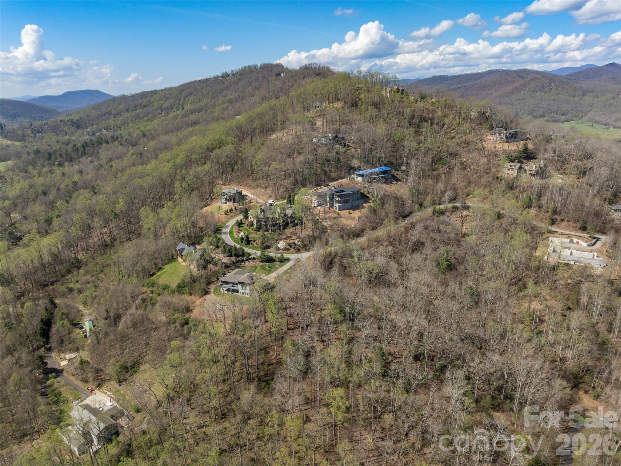 44 Pine Ridge Trail, Unit 83 Arden, NC 28704 - Photo 25 of 26 a view of a forest with mountains in the background