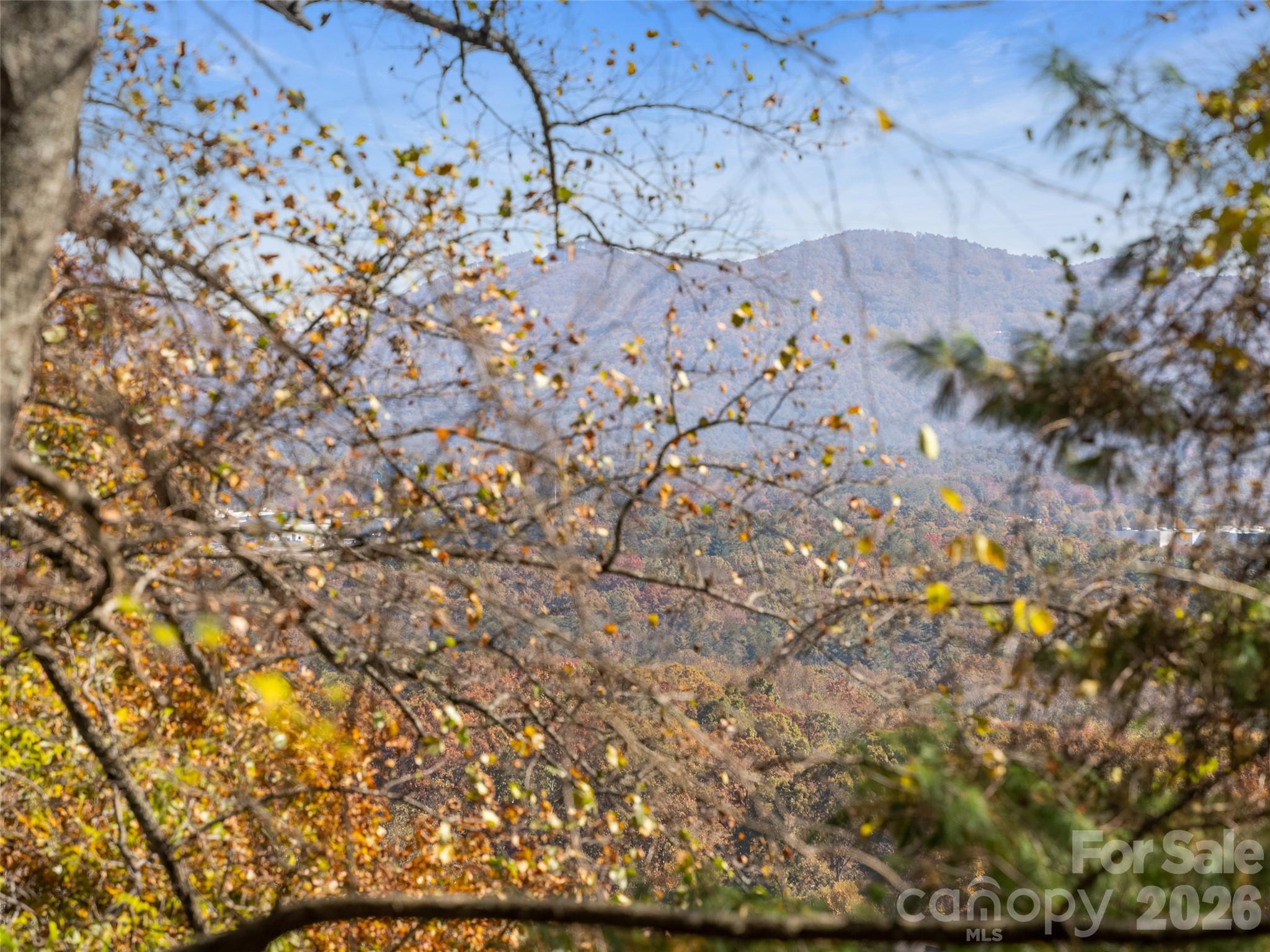 44 Pine Ridge Trail, Unit 83 Arden, NC 28704 - Photo 4 of 10
