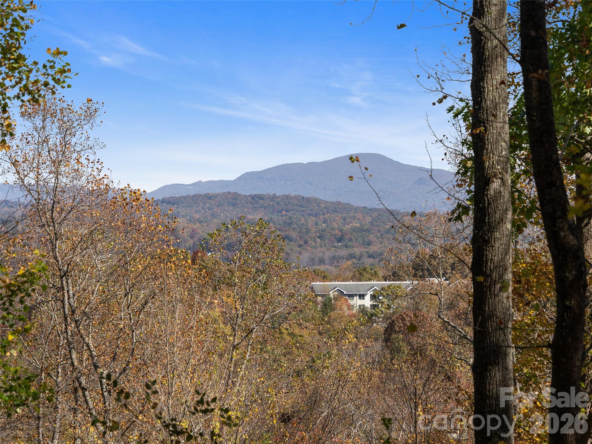 44 Pine Ridge Trail, Unit 83 Arden, NC 28704 - Photo 5 of 26 a view of a large building with a mountain in the background