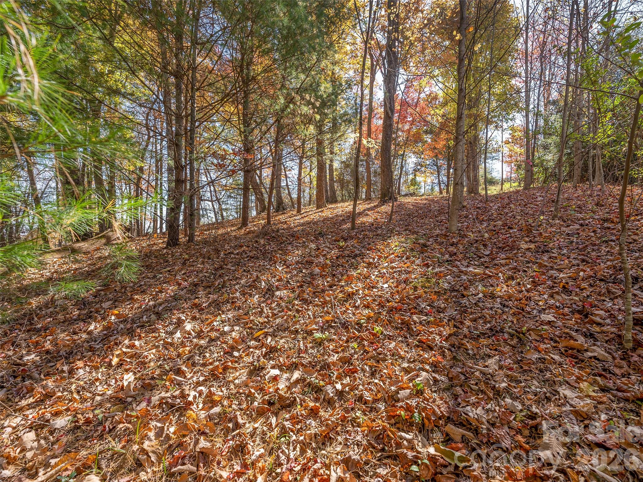 44 Pine Ridge Trail, Unit 83 Arden, NC 28704 - Photo 9 of 26 a backyard of a house with lots of green space