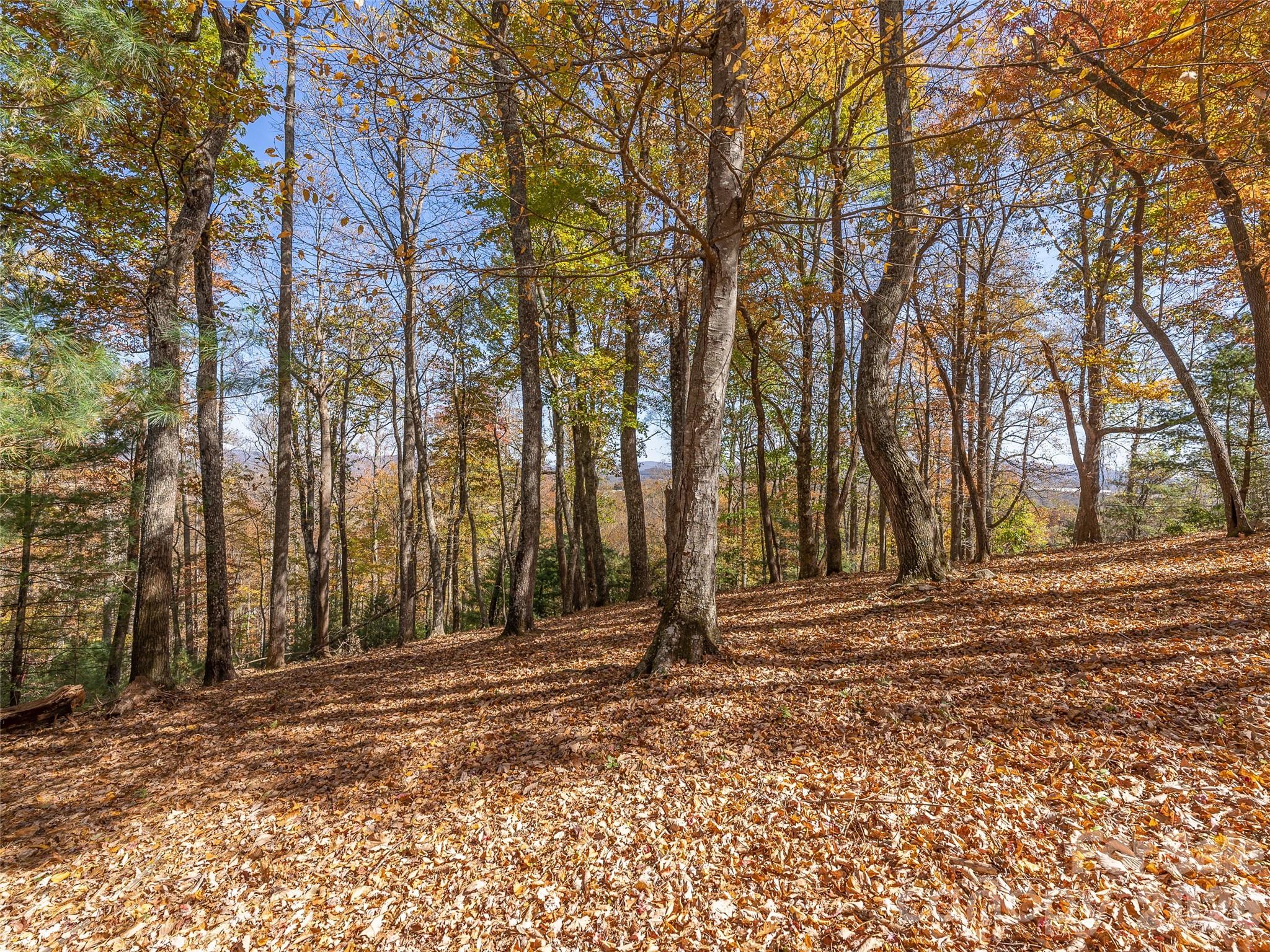 44 Pine Ridge Trail, Unit 83 Arden, NC 28704 - Photo 10 of 26 a backyard of a house with trees