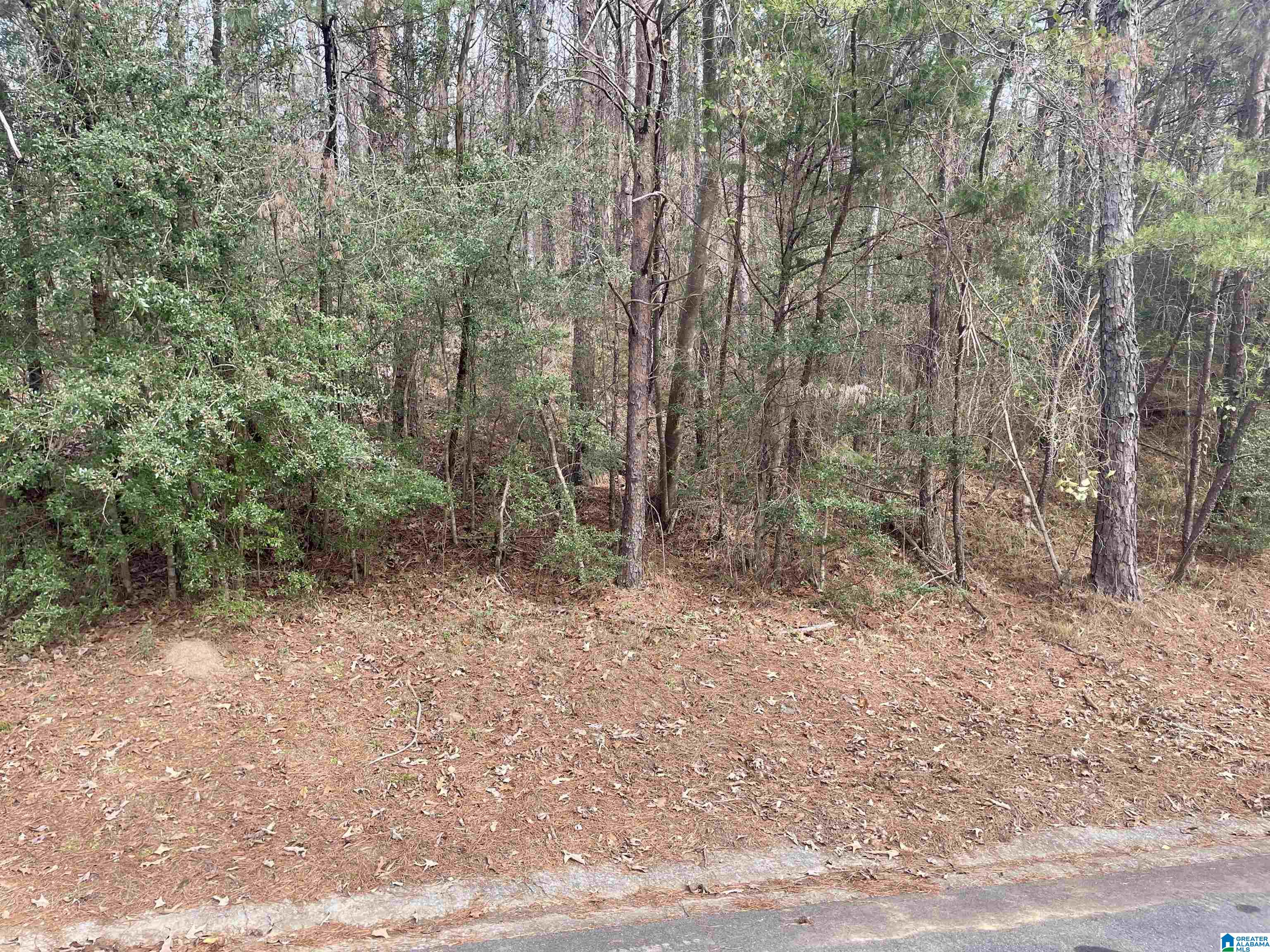 4137 Riverview Cove, Unit 32 Birmingham, AL 35243 - Photo 1 of 16