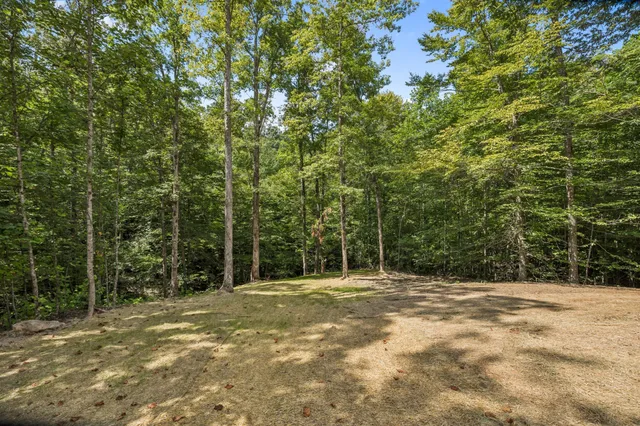 a view of outdoor space with trees