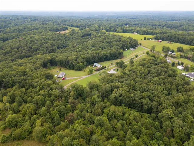 a view of a lush green forest with trees and houses