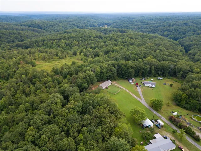 a view of a city with lush green forest