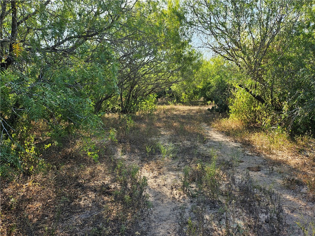 24024 441st Circle Mathis, TX 78368 - Photo 45 of 57 Gallery Image 45