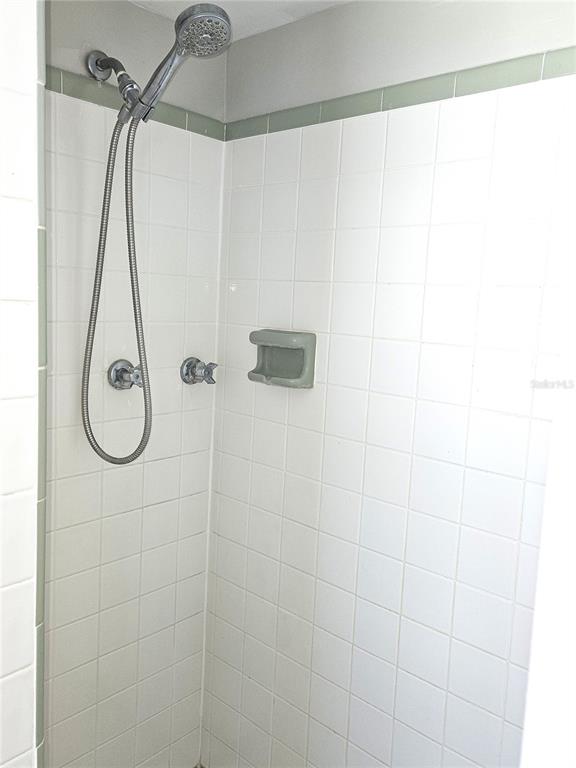 7821 Lotus Drive Port Richey, FL 34668 - Photo 12 of 19 a bathroom with a shower