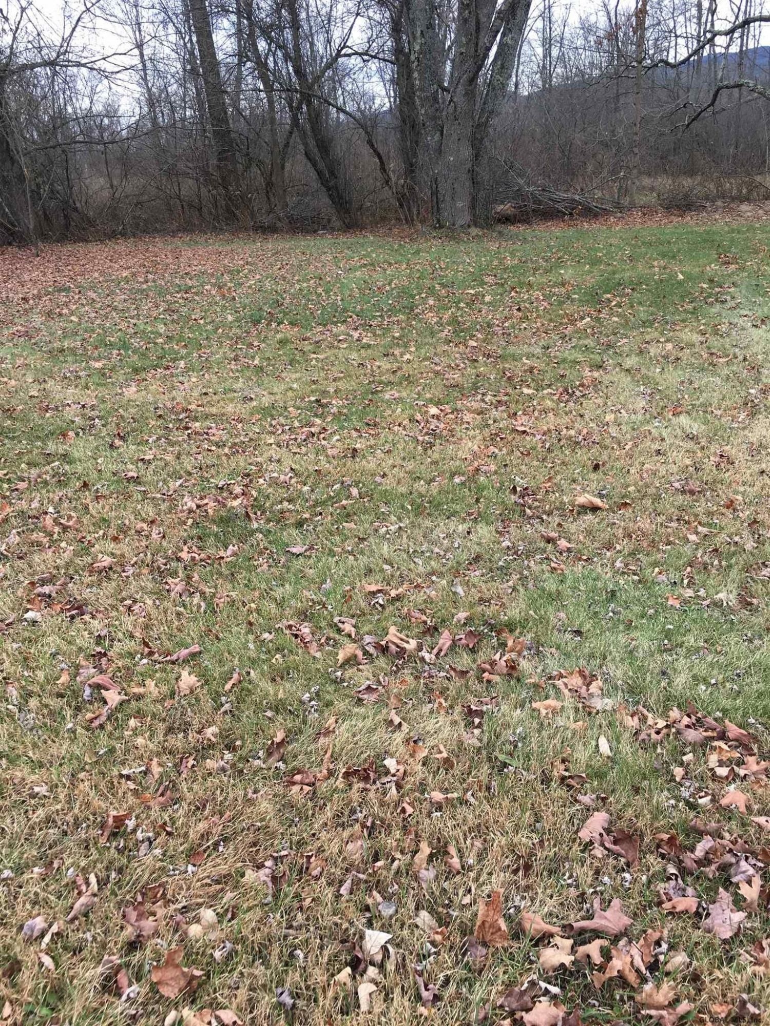 2709 County Rte 12 Whitehall, NY 12887 - Photo 4 of 10 Photo 4