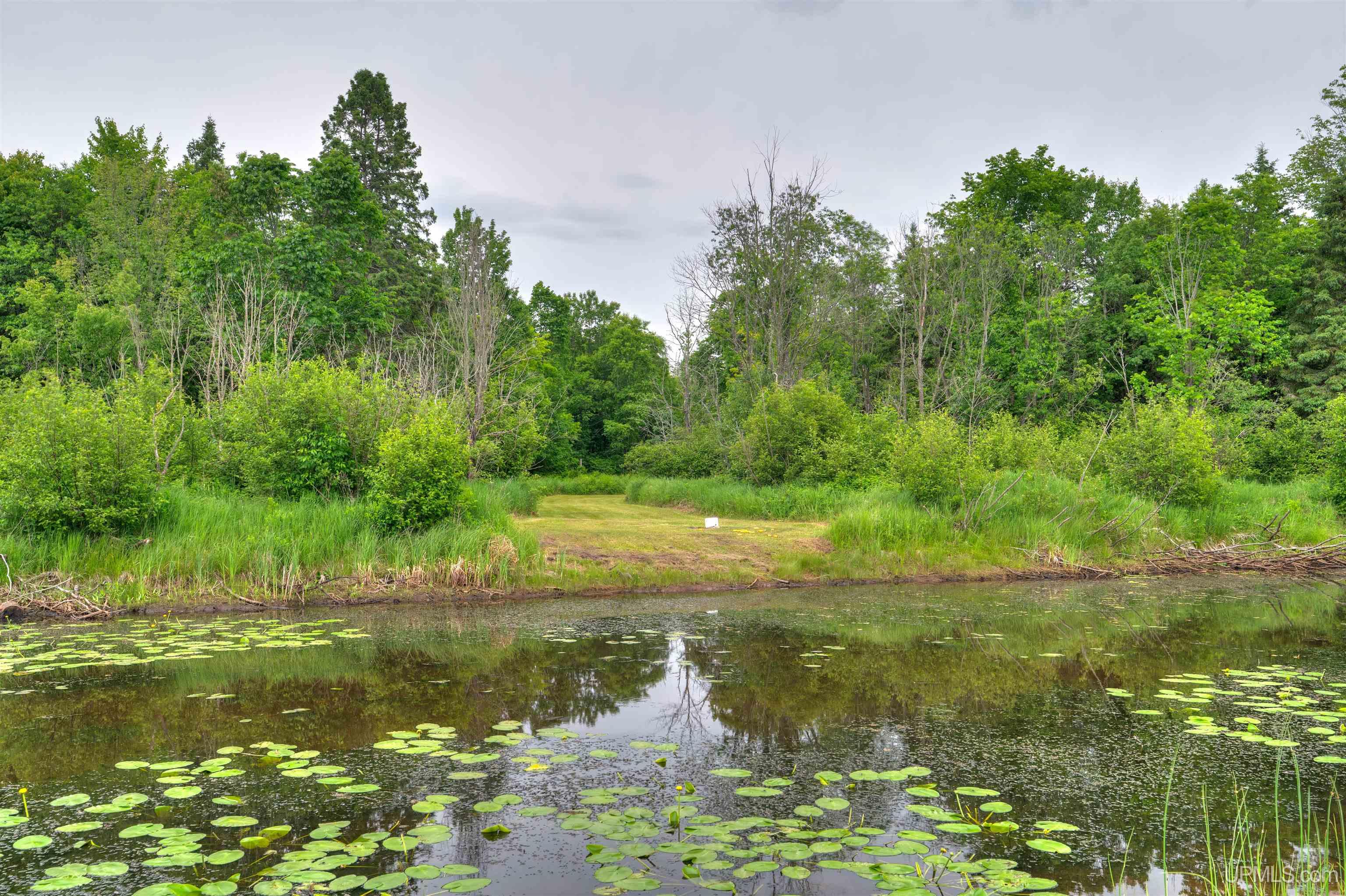 15682 Highway 2 Cooks, MI 49817 - Photo 41 of 56
