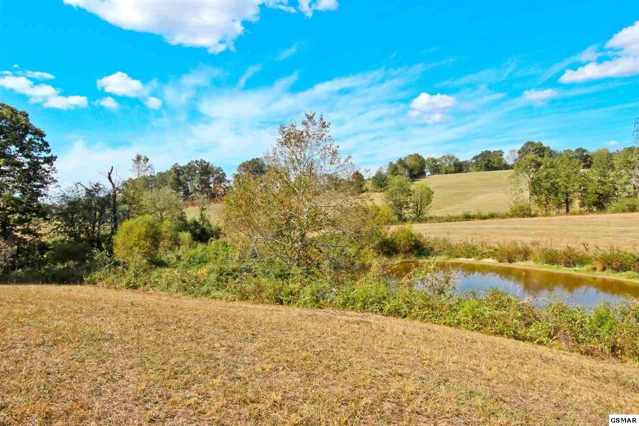 2 Timber Ridge Road Greeneville, TN 37743 - Photo 18 of 27 Gallery Image 18