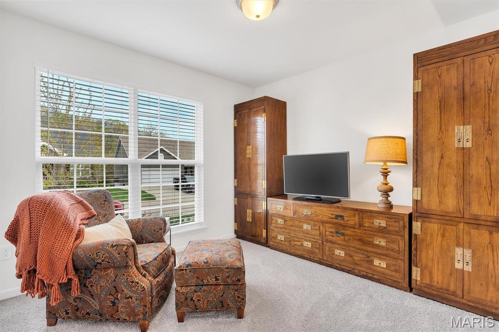 1534 Cascade Lane Eureka, MO 63025 - Photo 20 of 35