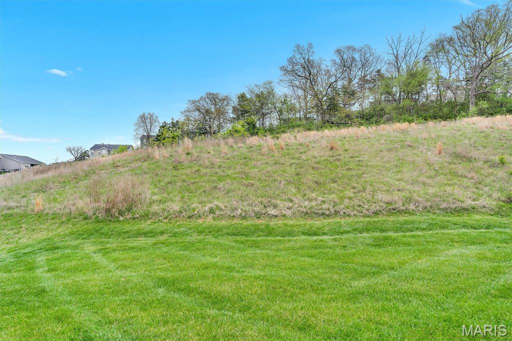 1534 Cascade Lane Eureka, MO 63025 - Photo 29 of 35