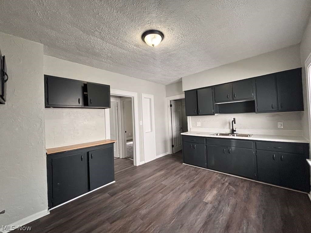 907 Rondel Road Cleveland, OH 44110 - Photo 7 of 26 Kitchen featuring dark cabinetry, light countertops, wood-finish flooring, and a ceiling-mounted light fixture