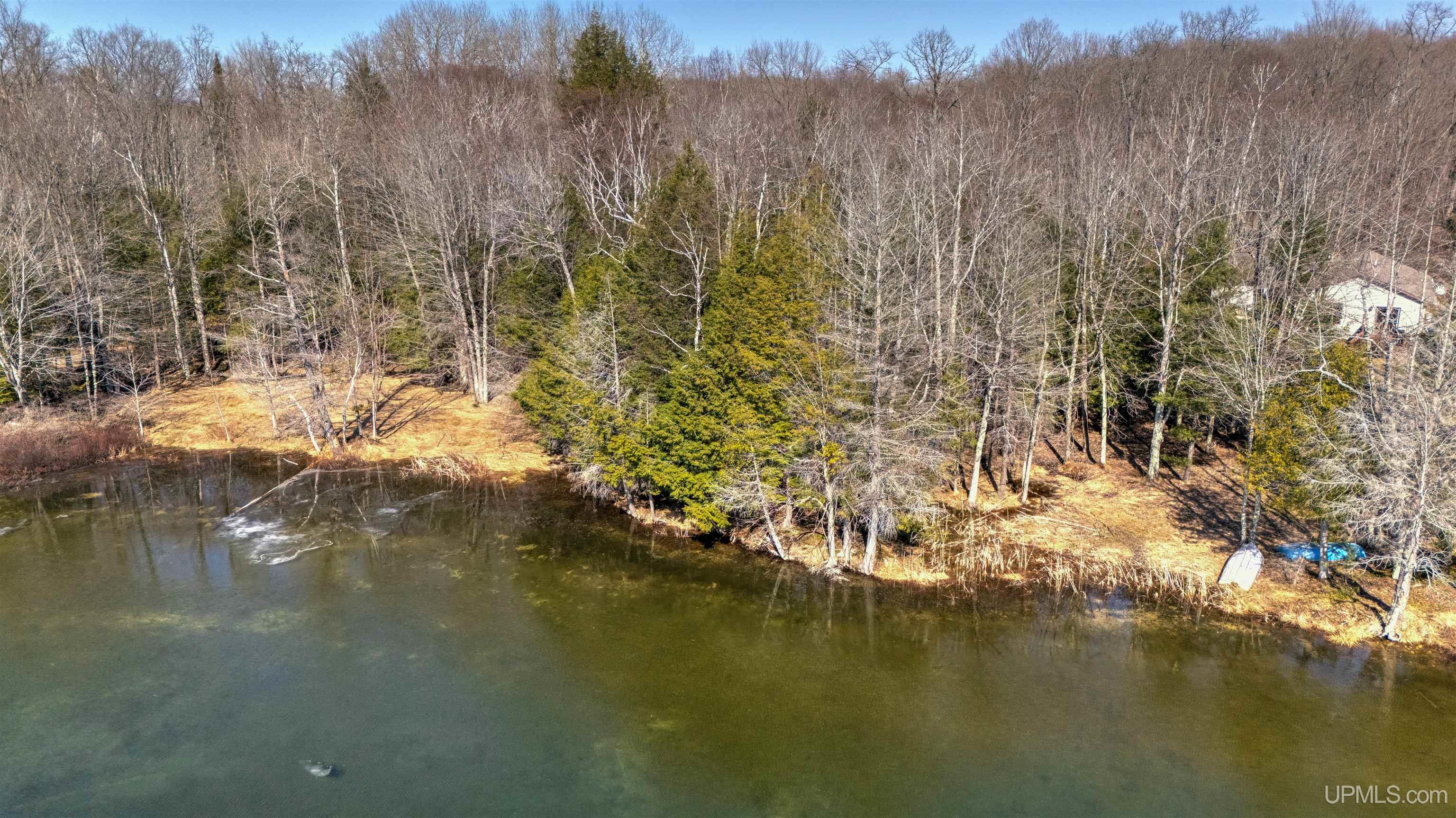 W West Smith Lake Road Manistique, MI 49854 - Photo 12 of 13