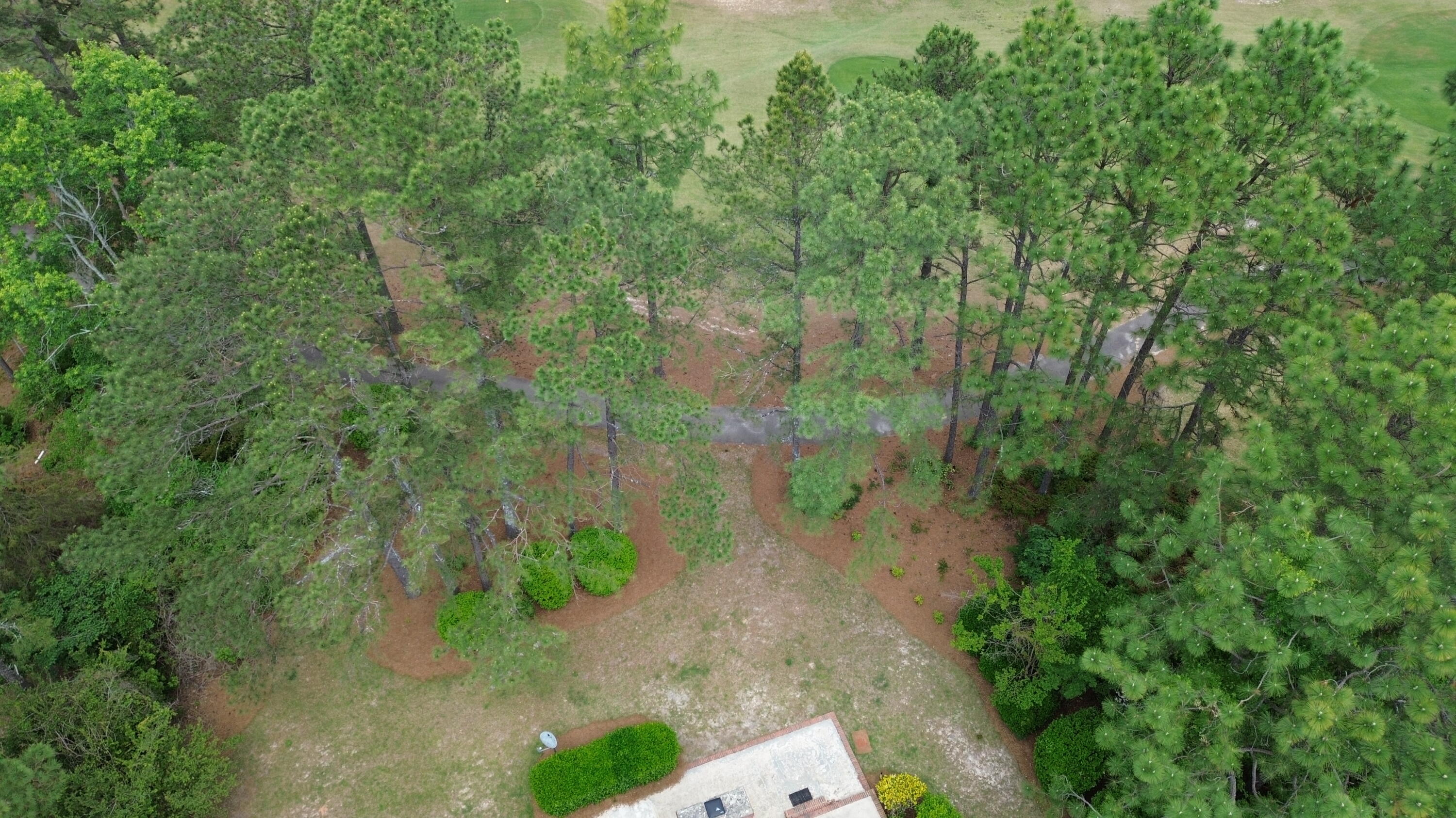917 Holley Lake Road Aiken, SC 29803 - Photo 67 of 69