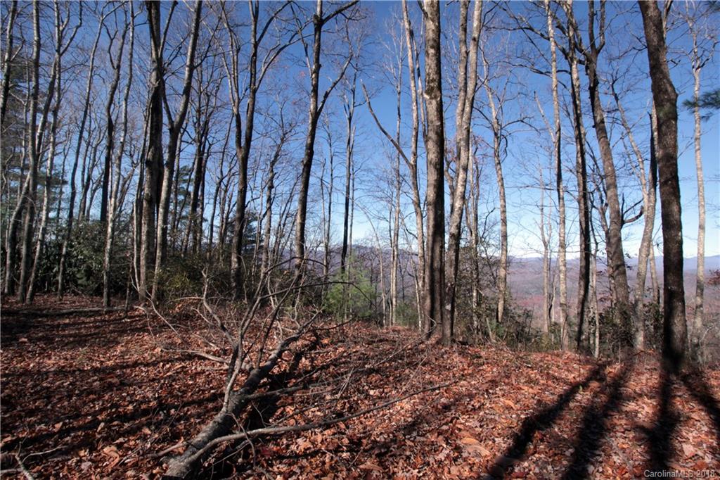 13 Devils Hole Road, Unit 13 Rosman, NC 28772 - Photo 12 of 24 Gallery Image 12