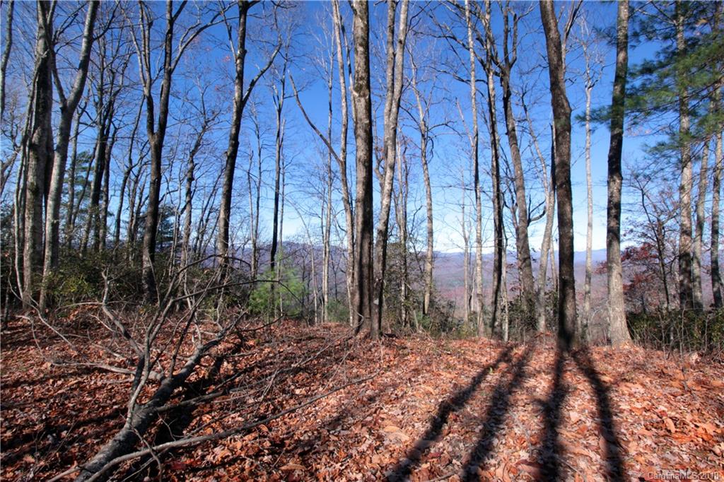 13 Devils Hole Road, Unit 13 Rosman, NC 28772 - Photo 16 of 24 Gallery Image 16
