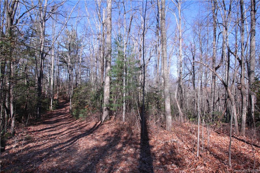 13 Devils Hole Road, Unit 13 Rosman, NC 28772 - Photo 17 of 24 Gallery Image 17
