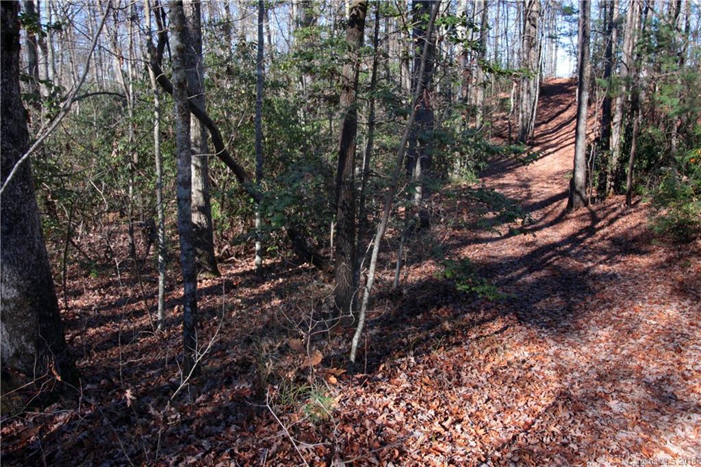 13 Devils Hole Road, Unit 13 Rosman, NC 28772 - Photo 18 of 24 Gallery Image 18