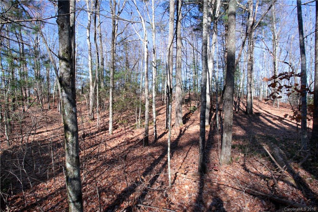 13 Devils Hole Road, Unit 13 Rosman, NC 28772 - Photo 19 of 24 Gallery Image 19