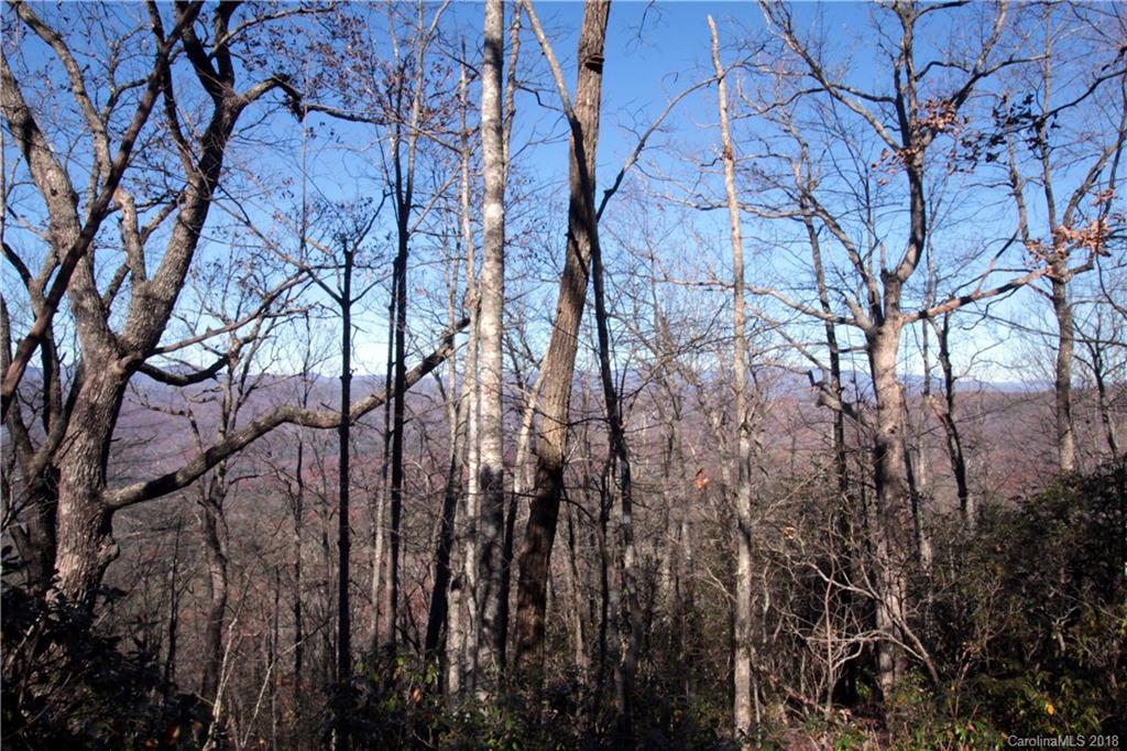 13 Devils Hole Road, Unit 13 Rosman, NC 28772 - Photo 20 of 24 Gallery Image 20