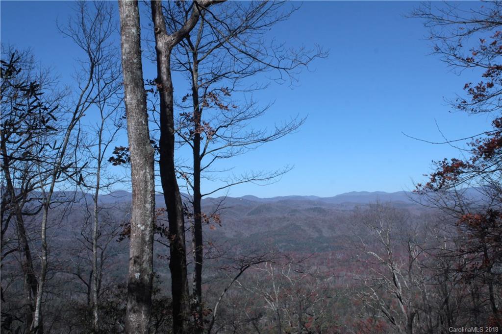 13 Devils Hole Road, Unit 13 Rosman, NC 28772 - Photo 4 of 24 Gallery Image 4