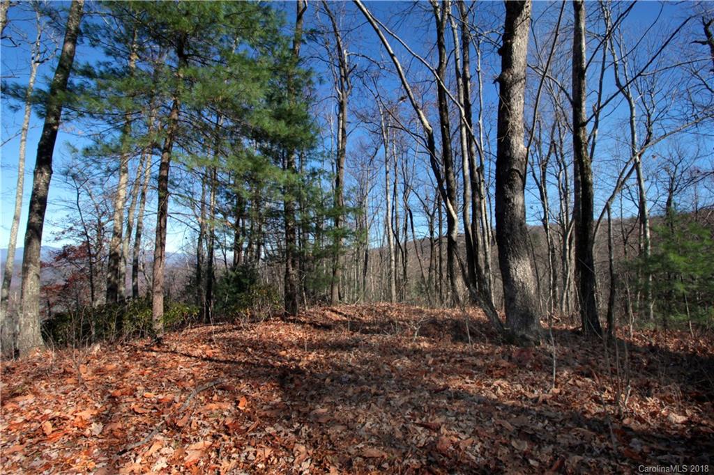 13 Devils Hole Road, Unit 13 Rosman, NC 28772 - Photo 5 of 24 Gallery Image 5
