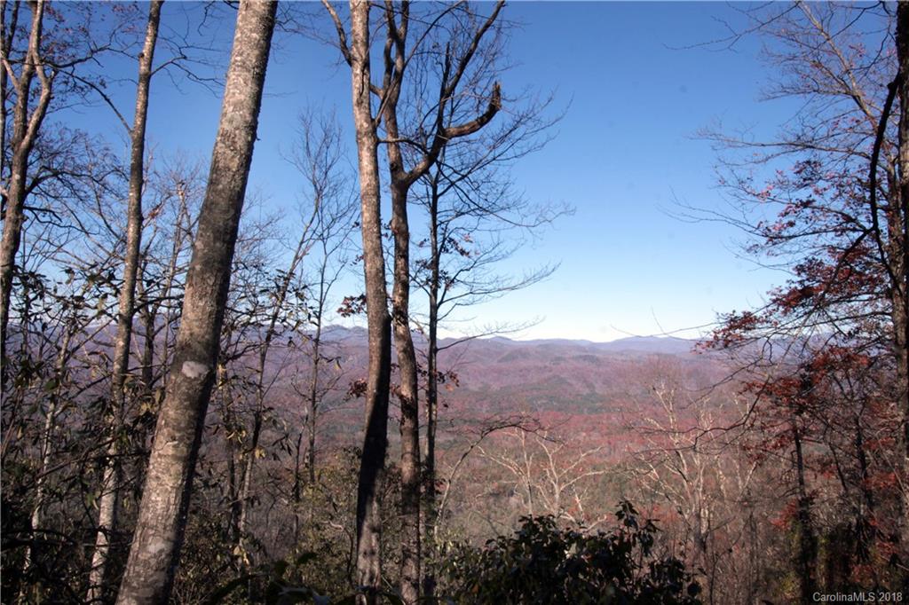 13 Devils Hole Road, Unit 13 Rosman, NC 28772 - Photo 7 of 24 Gallery Image 7