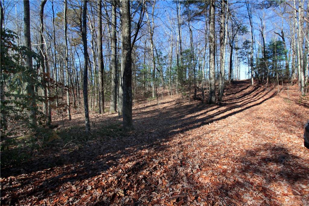 13 Devils Hole Road, Unit 13 Rosman, NC 28772 - Photo 8 of 24 Gallery Image 8