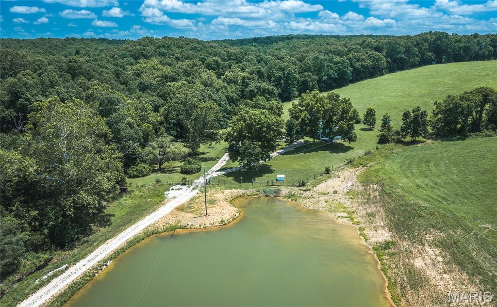 171 Czar Tower Road Steelville, MO 65565 - Photo 34 of 54