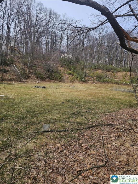 a view of a yard near a lake view